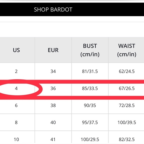 Bardot Botanical Lace Dress in Dusty Blue - Picture 8 of 15